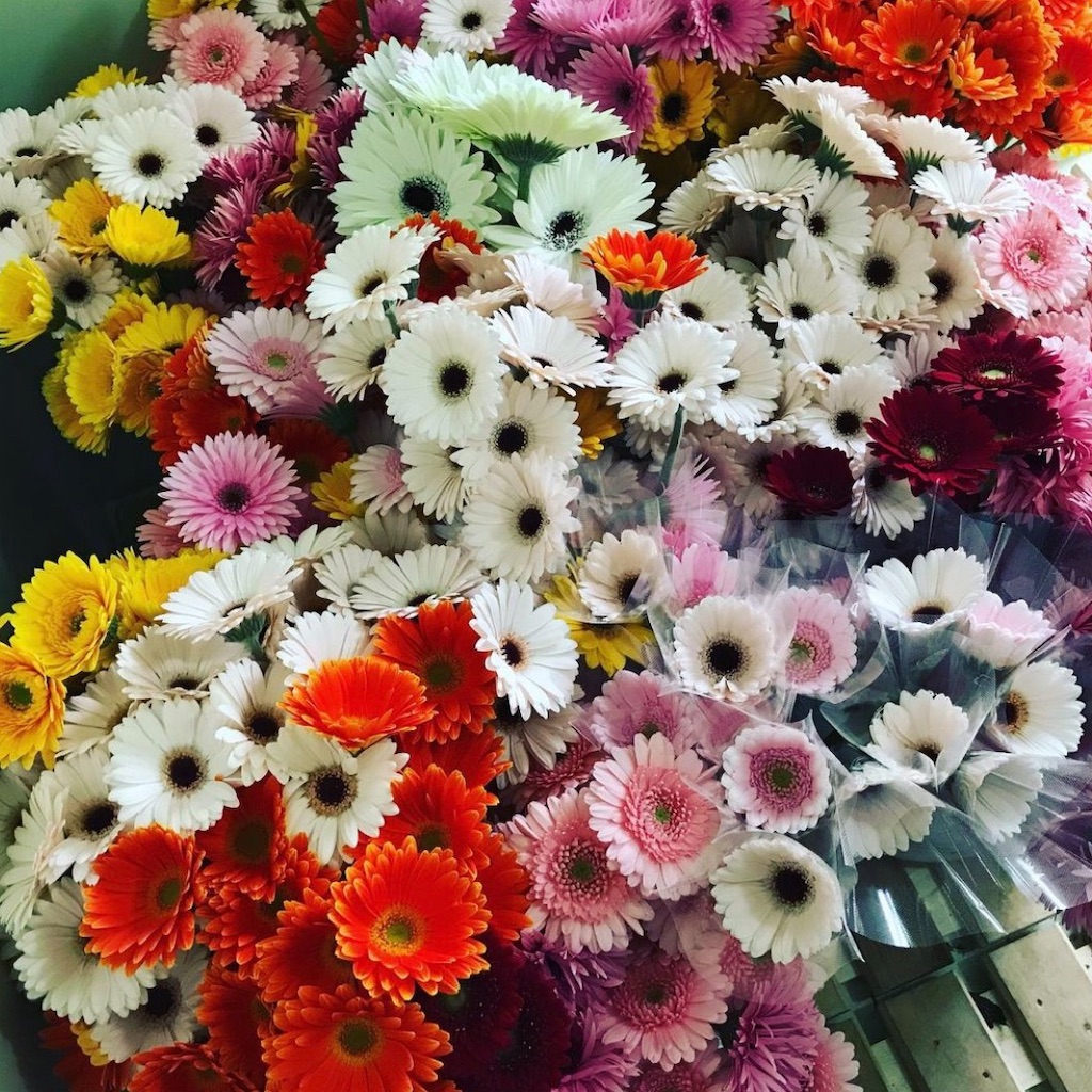 f:id:blossom-art:20201123210548j:image