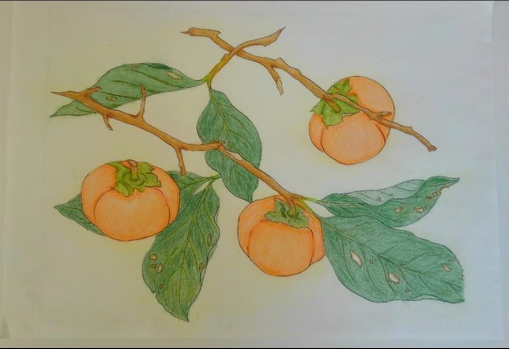 f:id:blossom-art:20201124203414j:image
