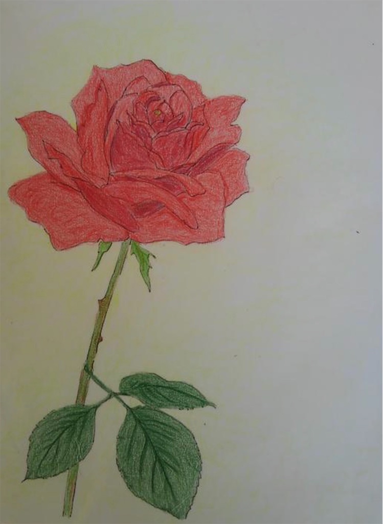 f:id:blossom-art:20201124203435j:image