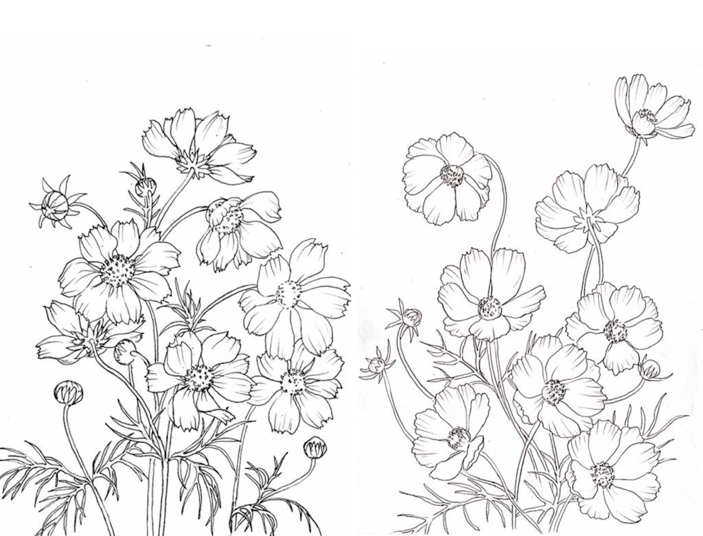 f:id:blossom-art:20201203220354j:image f:id:blossom-art:20201203220354j:image