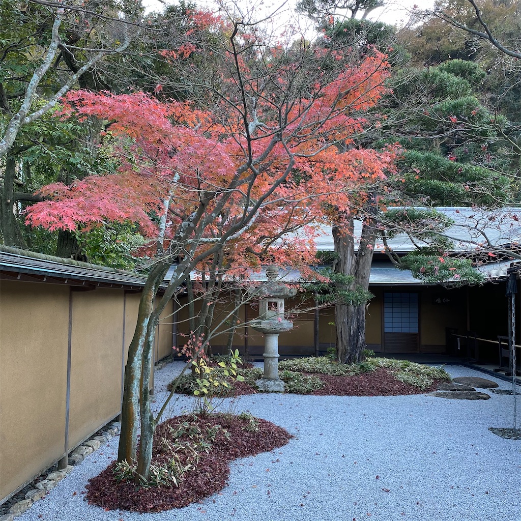 f:id:blossom-art:20201204201026j:image