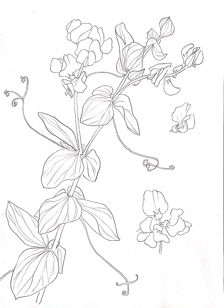 f:id:blossom-art:20201205222358j:image