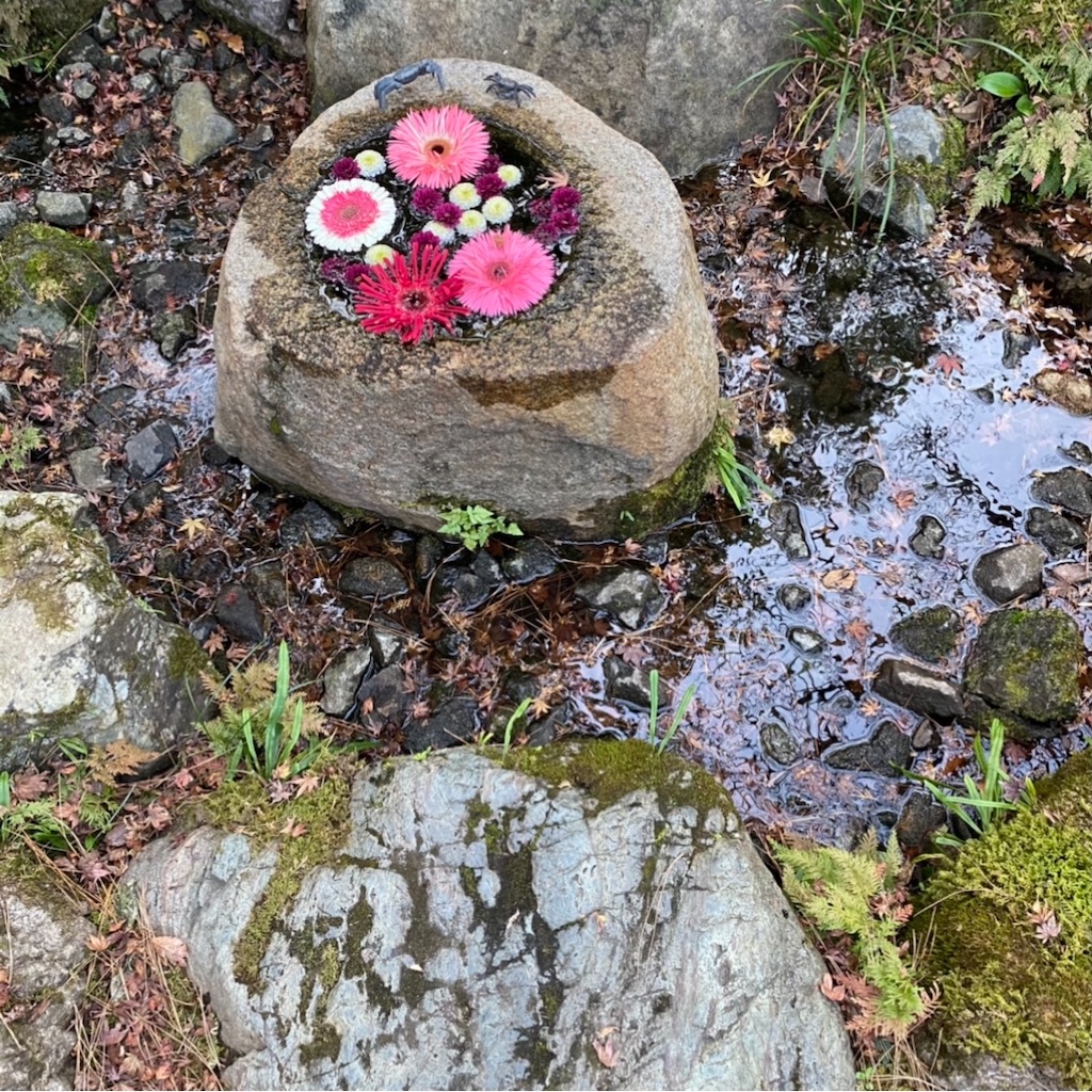 f:id:blossom-art:20201207211121j:image