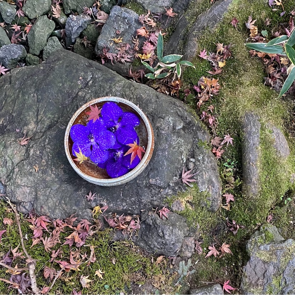 f:id:blossom-art:20201207211213j:image