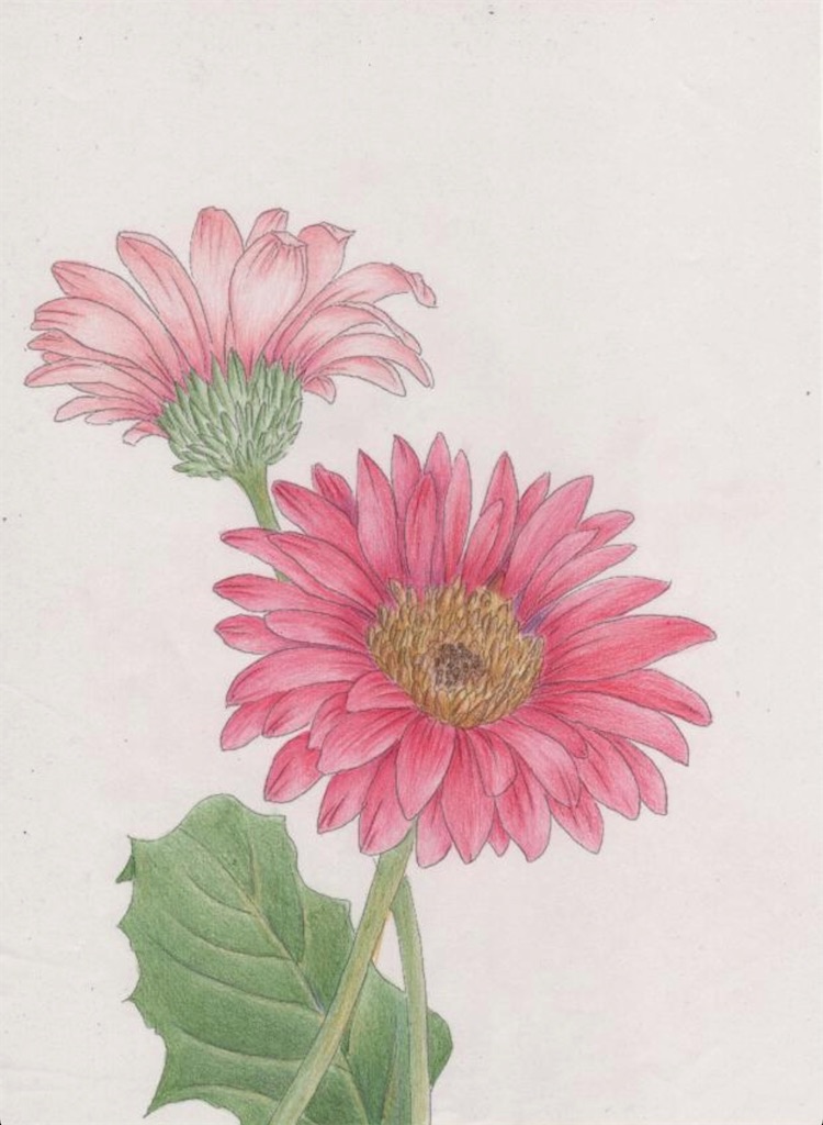 f:id:blossom-art:20201210000333j:image