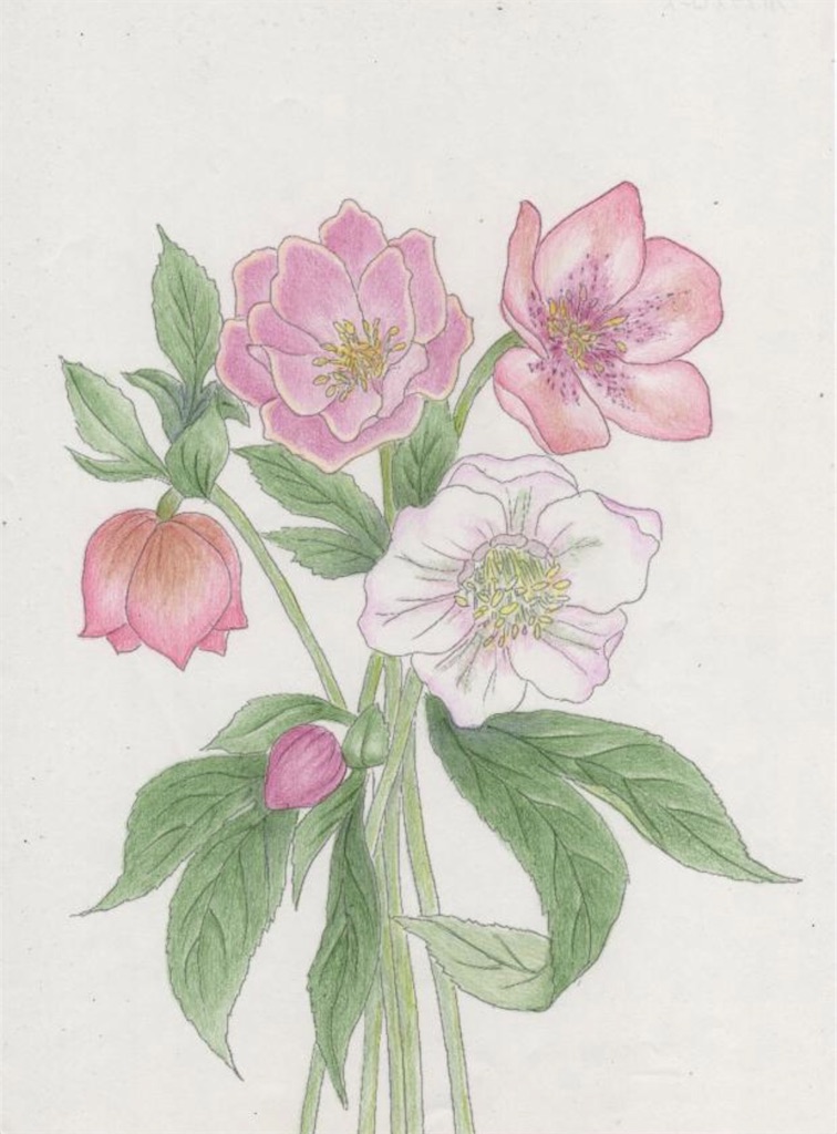 f:id:blossom-art:20201210000352j:image