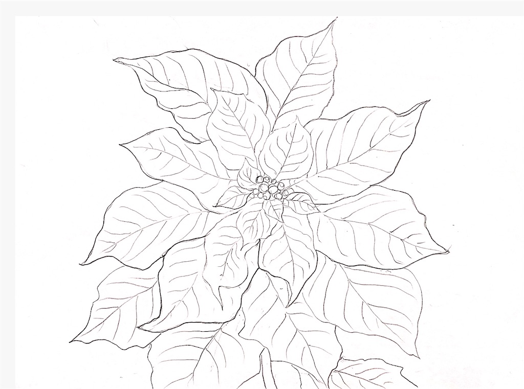 f:id:blossom-art:20201213215812j:image