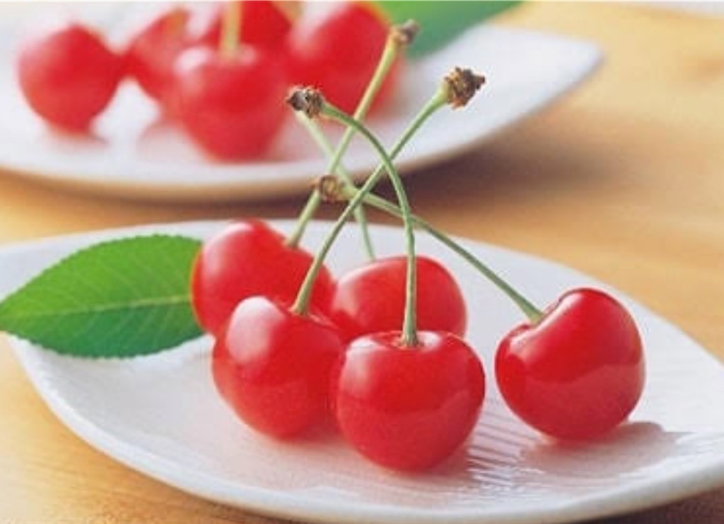f:id:blossom-art:20201215213432j:image