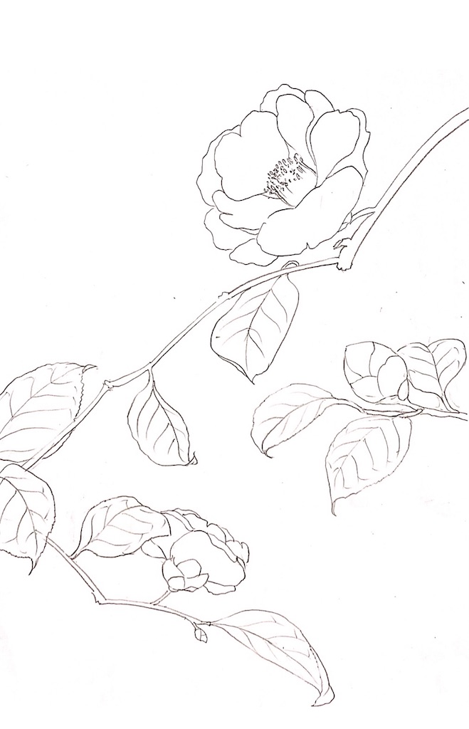 f:id:blossom-art:20201216190652j:image