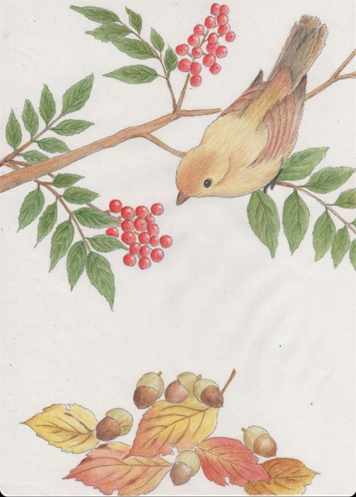 f:id:blossom-art:20201217214339j:image