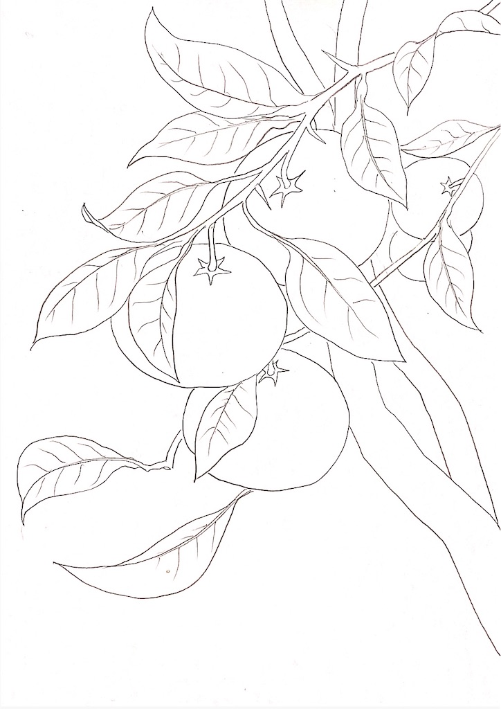 f:id:blossom-art:20201217215305j:image f:id:blossom-art:20201217215305j:image