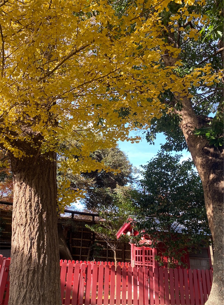 f:id:blossom-art:20201218173658j:image