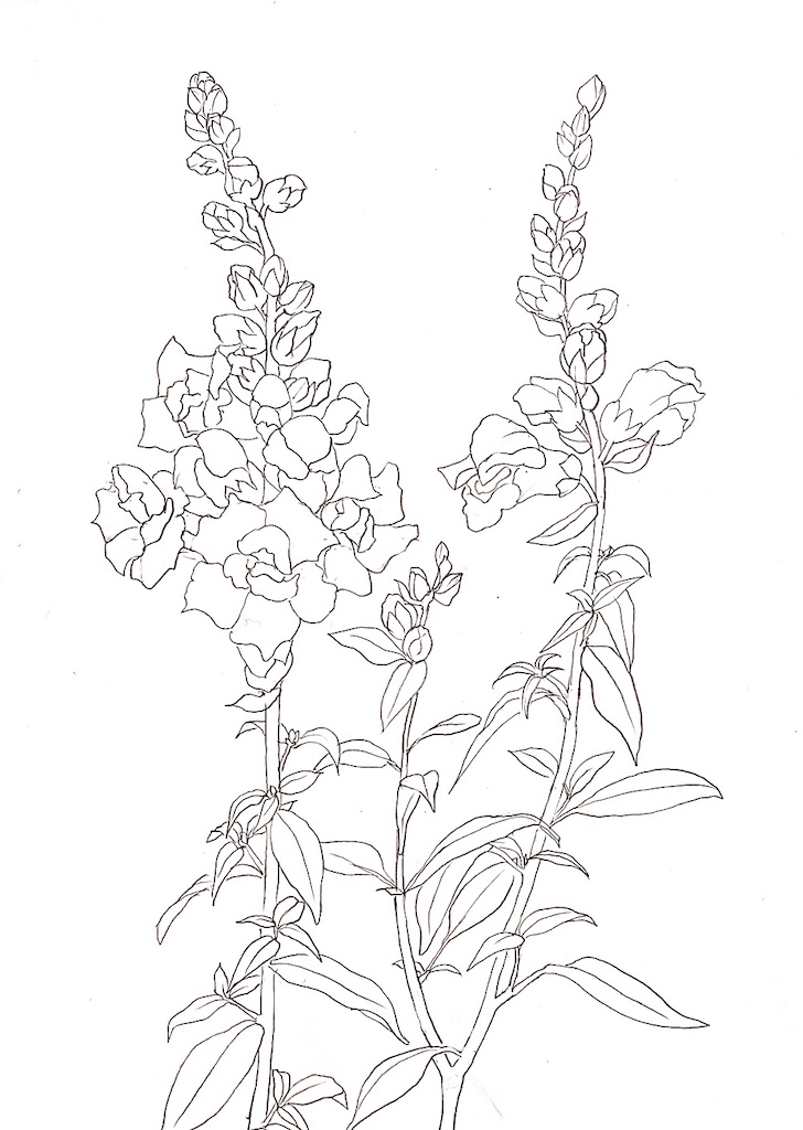 f:id:blossom-art:20201219214821j:image