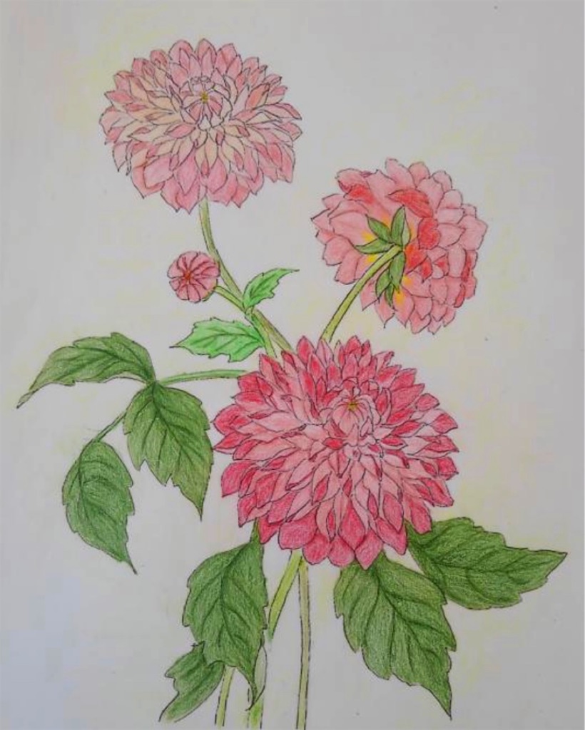 f:id:blossom-art:20201221210420j:image