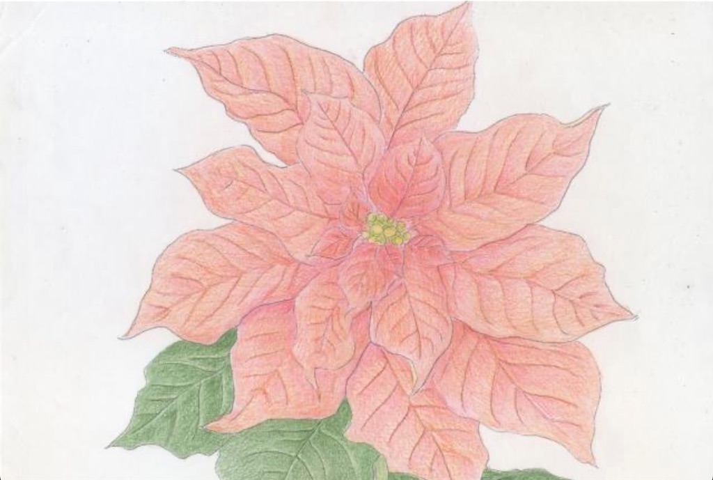 f:id:blossom-art:20201221211142j:image
