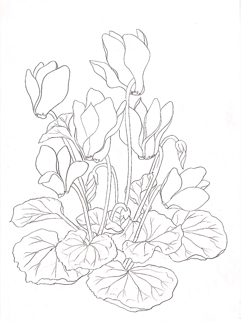 f:id:blossom-art:20201221212016j:image