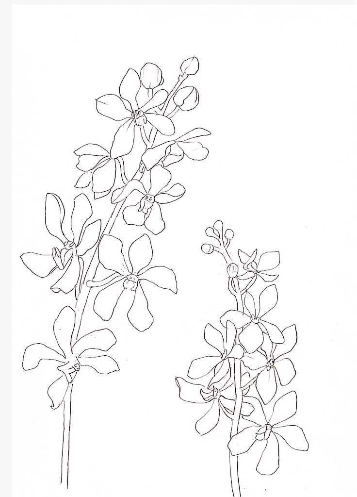 f:id:blossom-art:20201225183440j:image f:id:blossom-art:20201225183440j:image