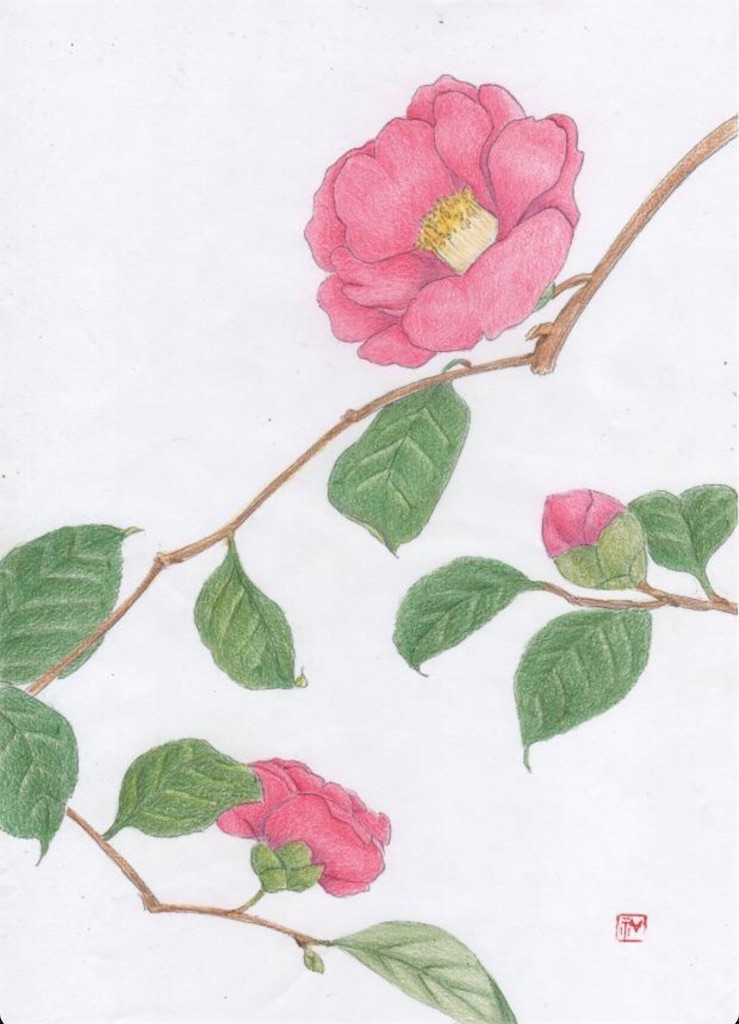 f:id:blossom-art:20201228232114j:image