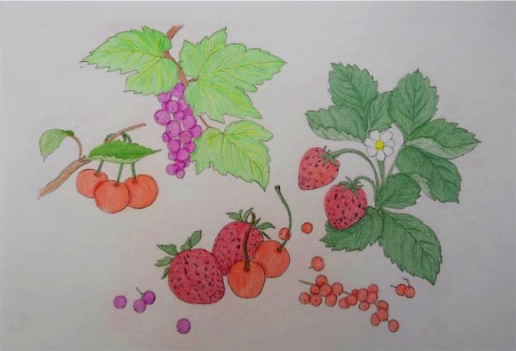 f:id:blossom-art:20201229200308j:image