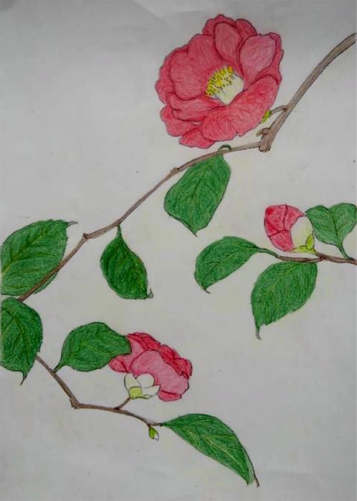 f:id:blossom-art:20201230172333j:image