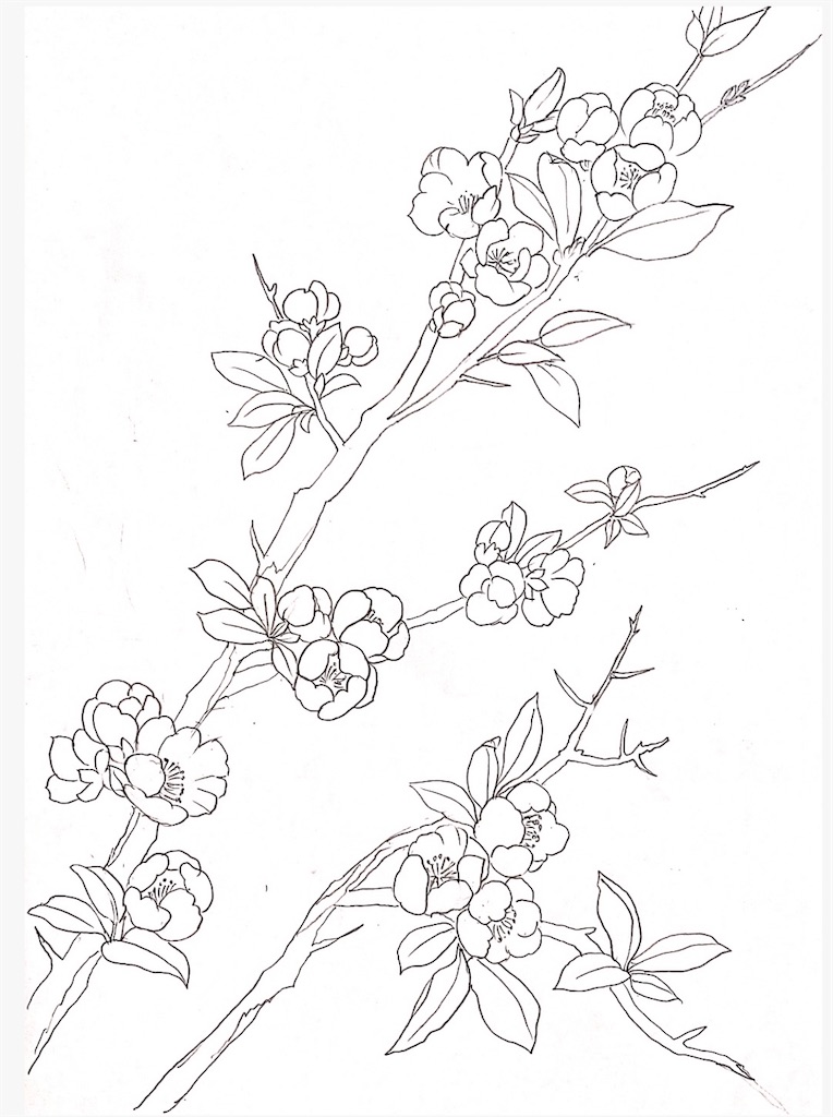 f:id:blossom-art:20210107204745j:image