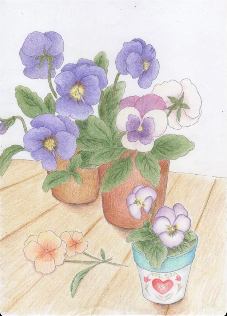 f:id:blossom-art:20210116171448j:image
