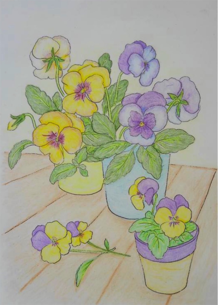 f:id:blossom-art:20210125180003j:image