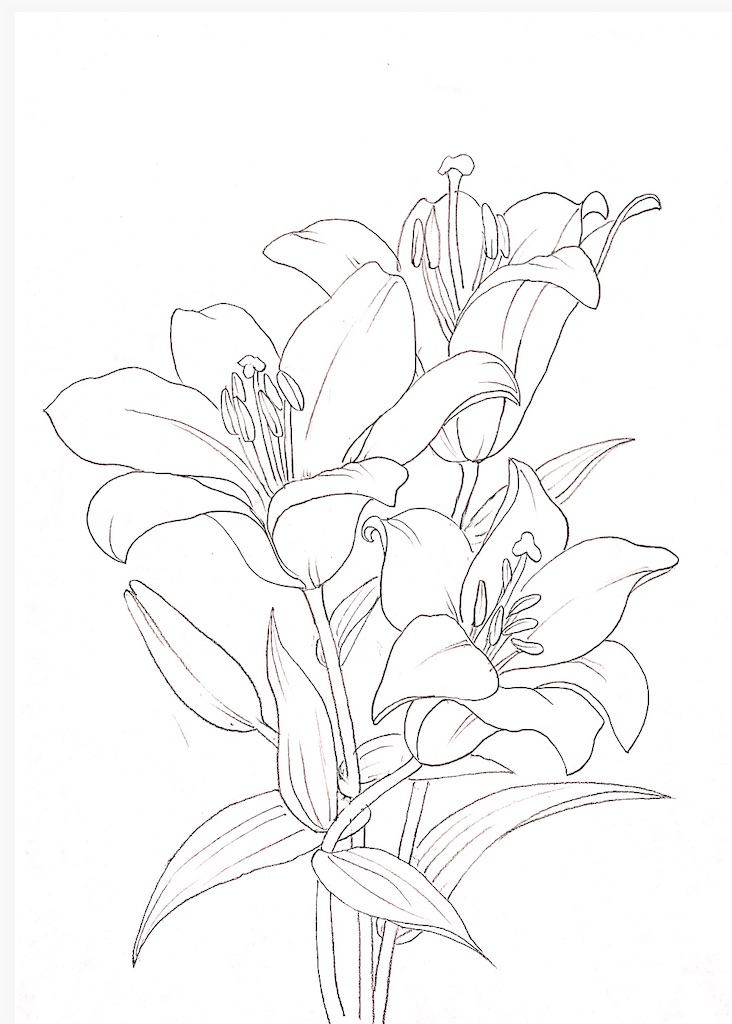 f:id:blossom-art:20210125180919j:image