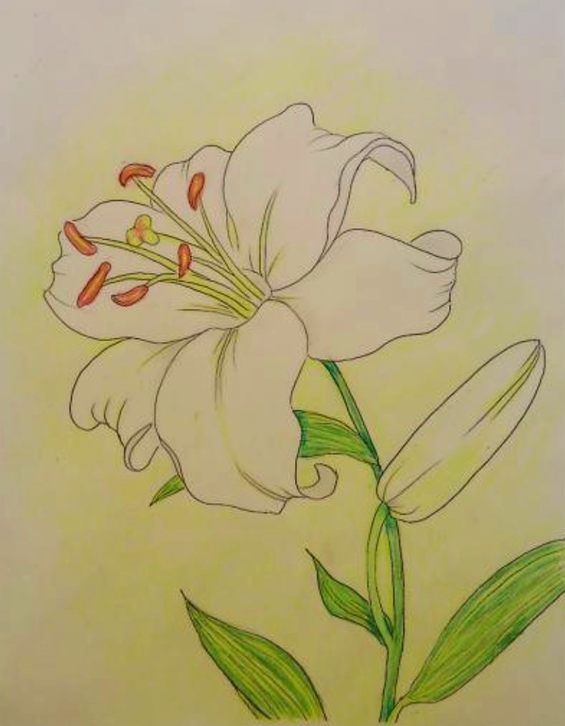 f:id:blossom-art:20210201180558j:image