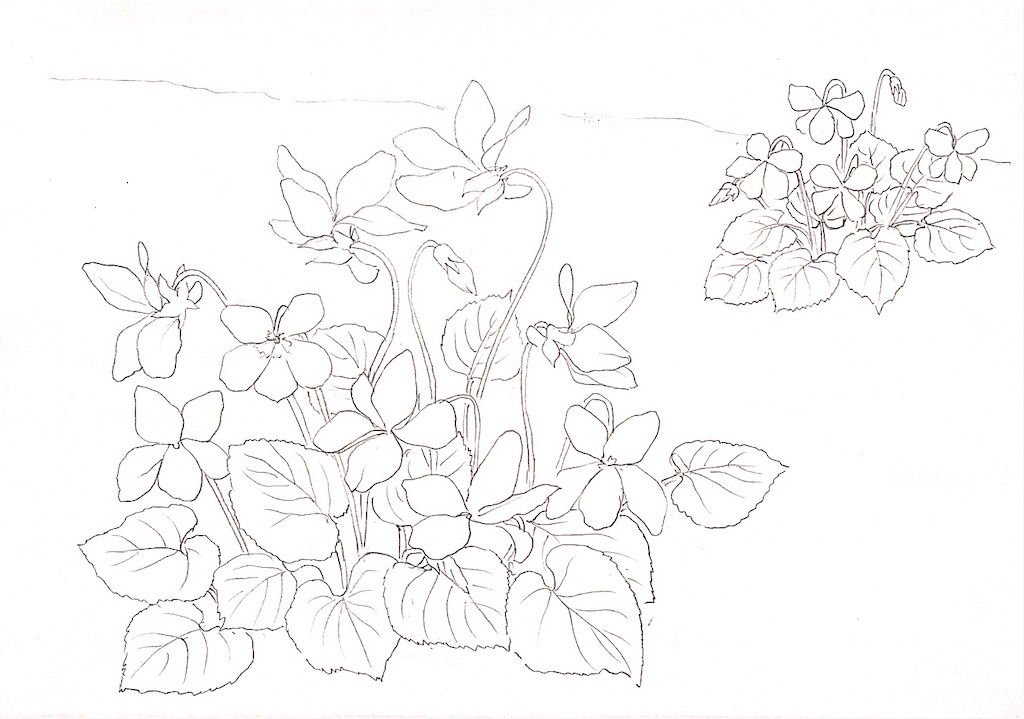 f:id:blossom-art:20210203214336j:image