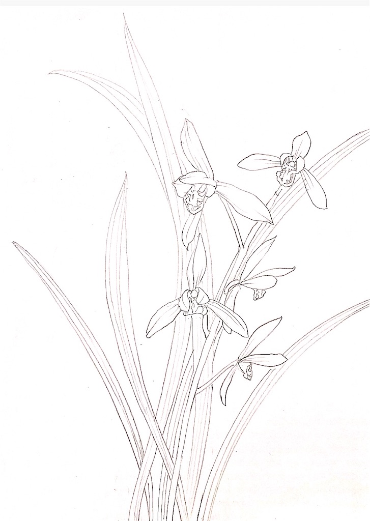 f:id:blossom-art:20210204173907j:image f:id:blossom-art:20210204173907j:image