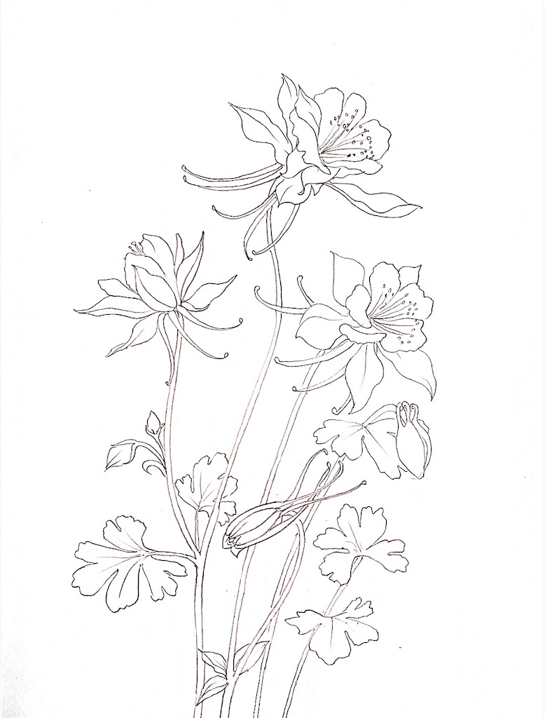 f:id:blossom-art:20210205181011j:image