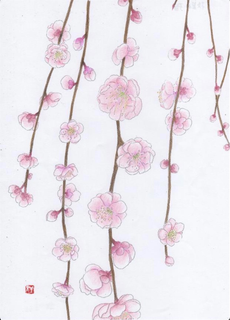 f:id:blossom-art:20210206171044j:image