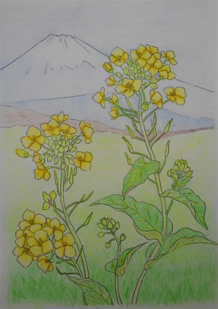 f:id:blossom-art:20210208174406j:image f:id:blossom-art:20210208174406j:image