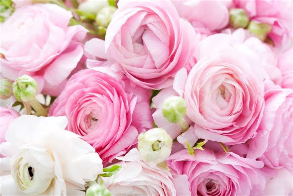 f:id:blossom-art:20210209190021j:image