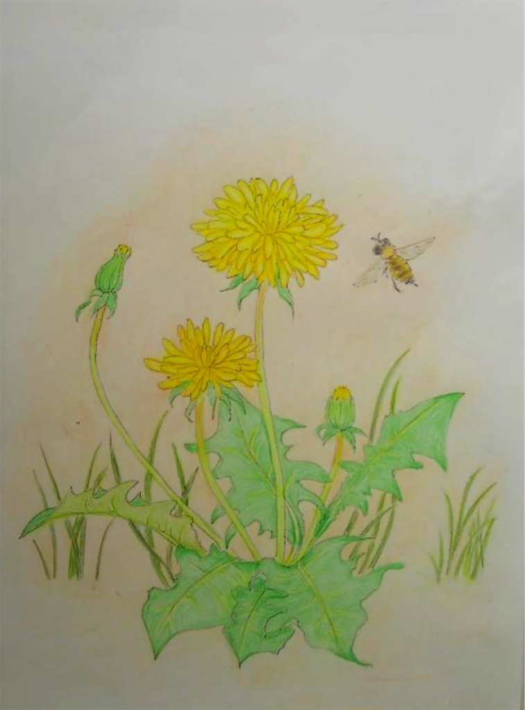 f:id:blossom-art:20210209194350j:image