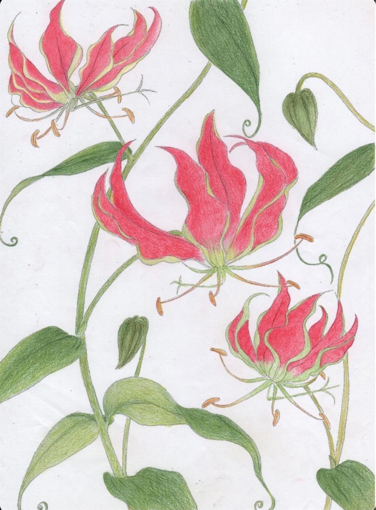 f:id:blossom-art:20210210184119j:image