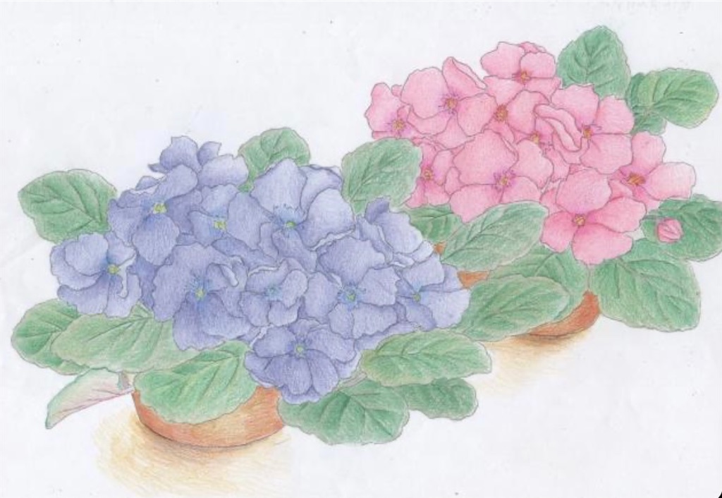 f:id:blossom-art:20210210184136j:image