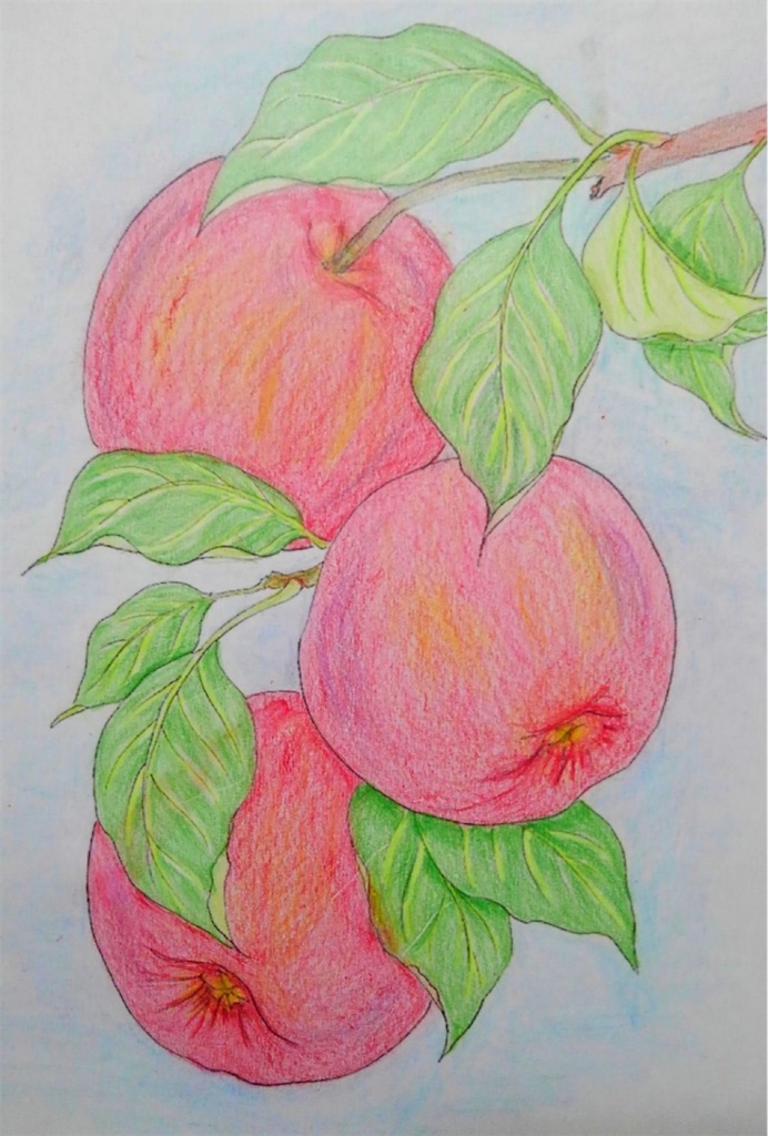 f:id:blossom-art:20210213182946j:image