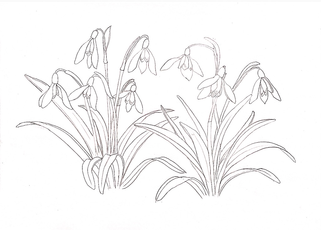f:id:blossom-art:20210217185143j:image