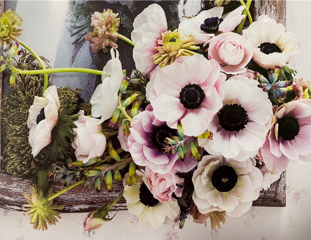 f:id:blossom-art:20210219174847j:image