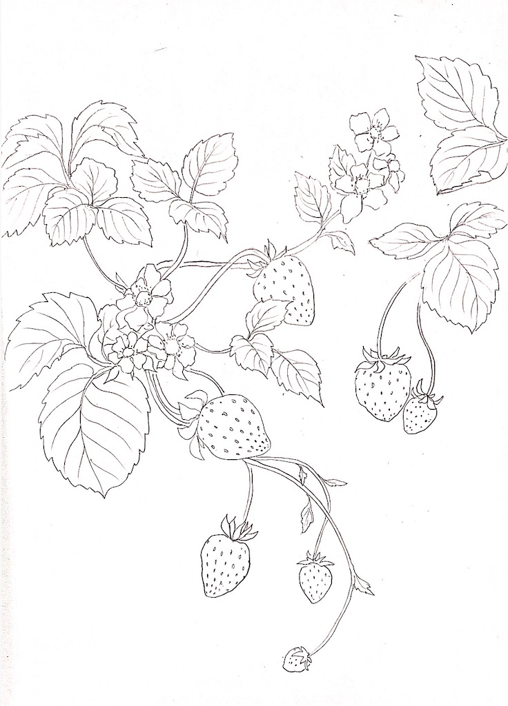 f:id:blossom-art:20210223204546j:image