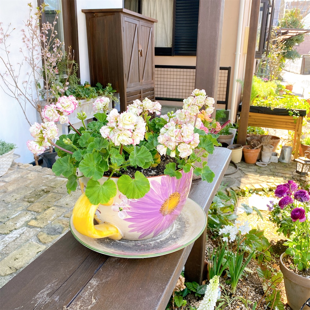 f:id:blossom-art:20210225183123j:image