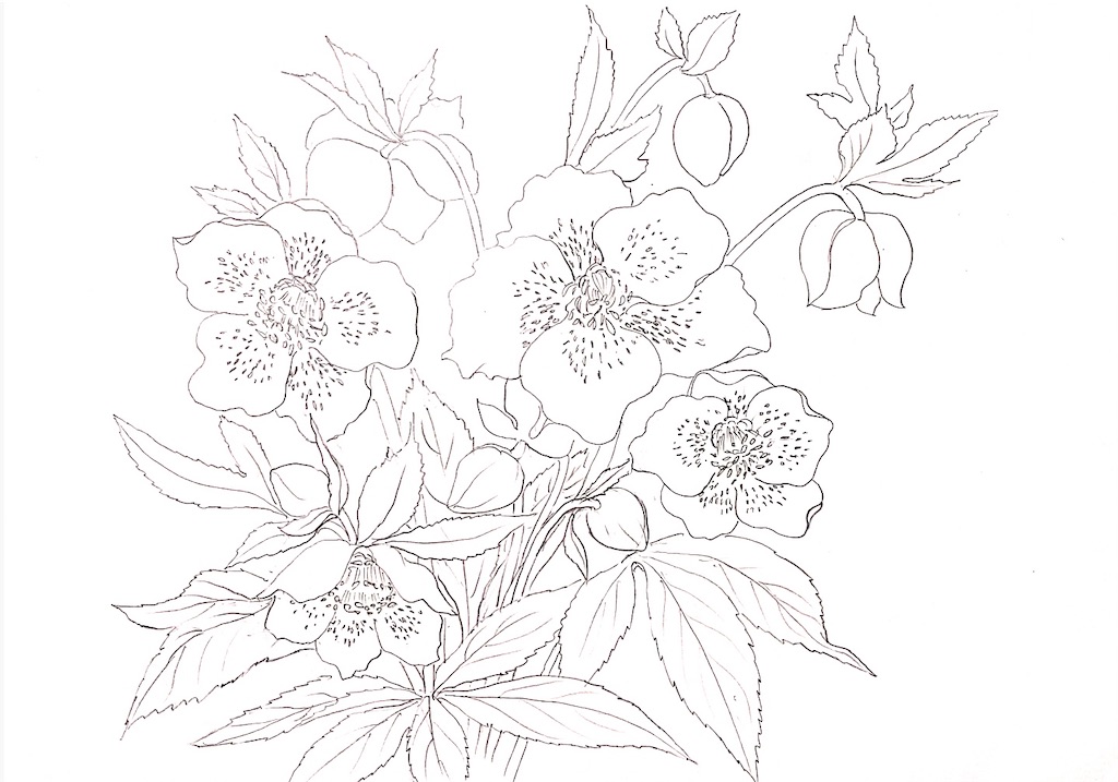 f:id:blossom-art:20210225204319j:image