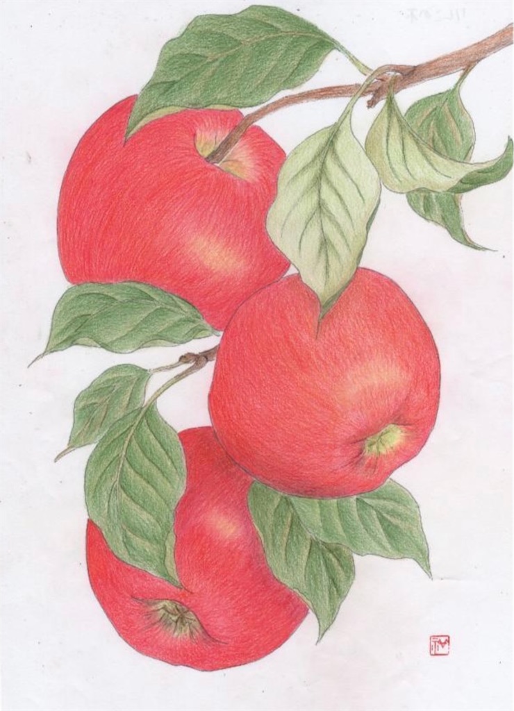 f:id:blossom-art:20210228193727j:image