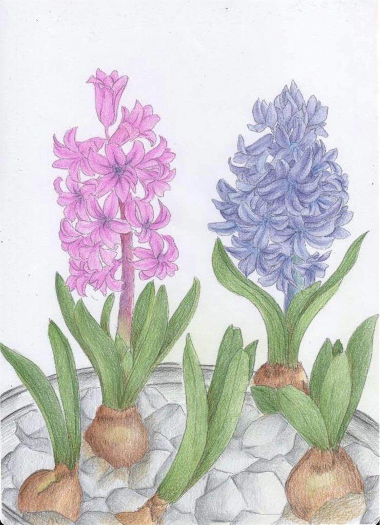 f:id:blossom-art:20210228193745j:image