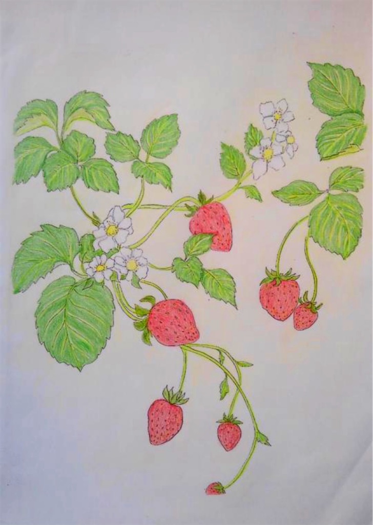 f:id:blossom-art:20210303201648j:image