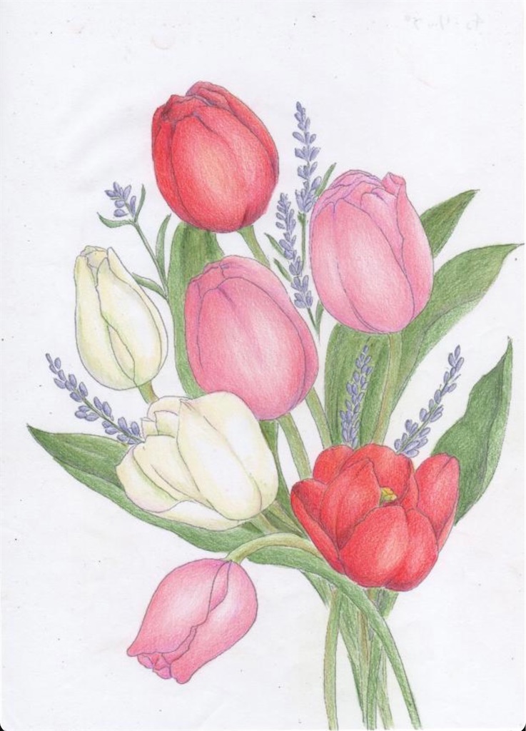 f:id:blossom-art:20210303201819j:image
