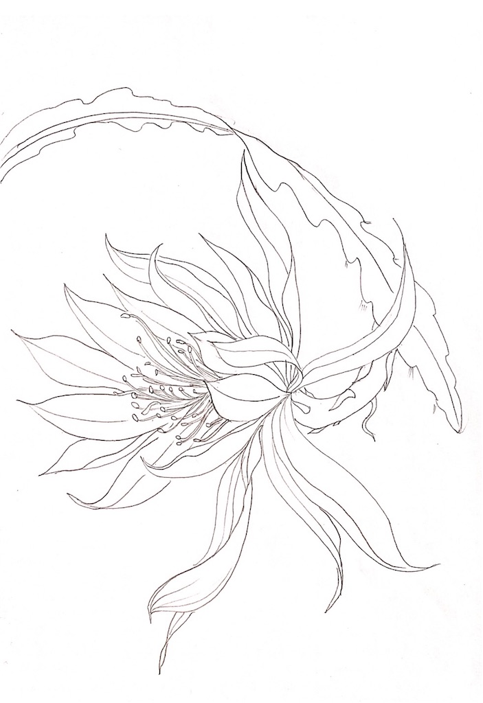 f:id:blossom-art:20210310173718j:image