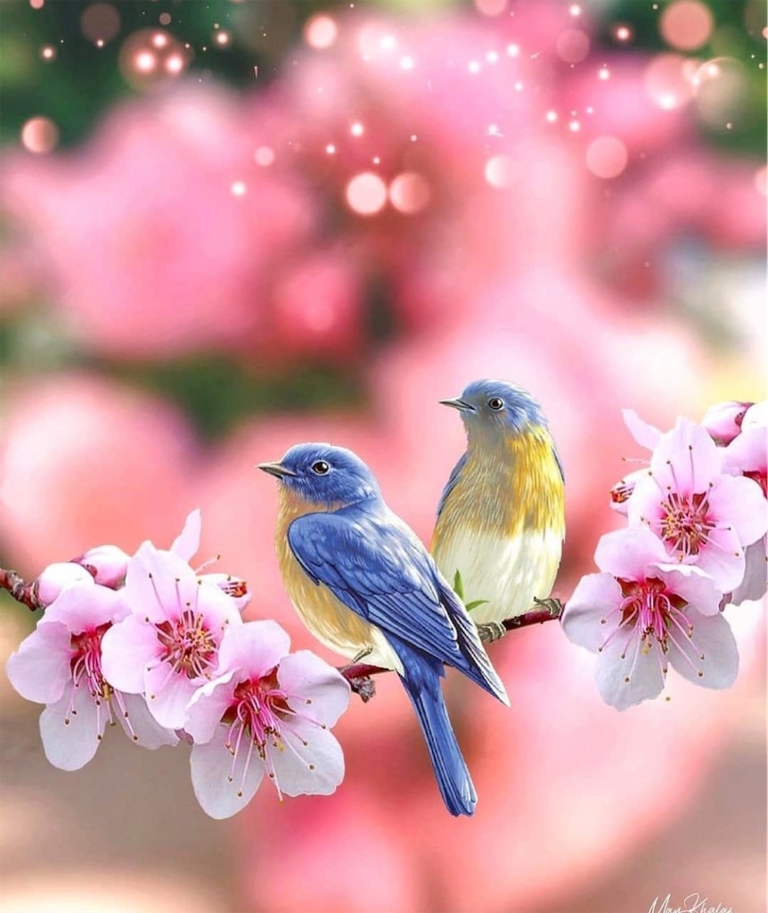 f:id:blossom-art:20210421193605j:image